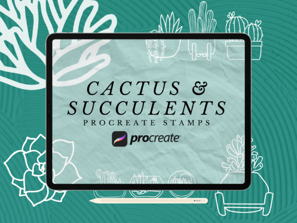 Download Cactus and Succulents Procreate Stamps - Succulent Collection
