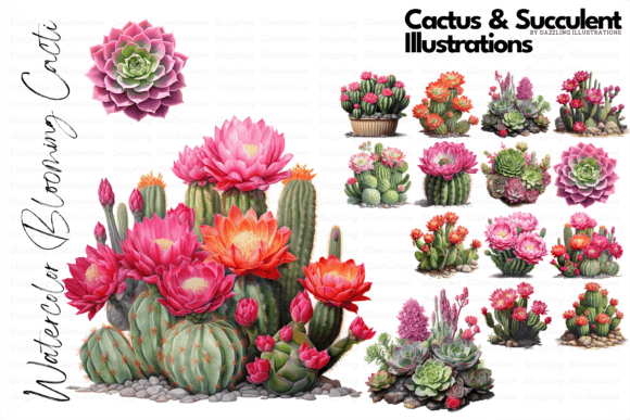 Download Cactus and Succulent Illustrations - Succulent Collection