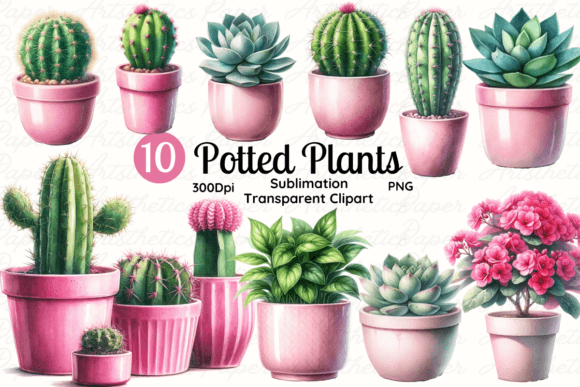 Download Potted Plant, Succulent &amp; Cactus Clipart - Succulent Collection