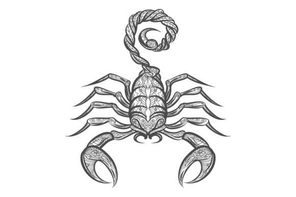 Download Scorpion in Decorative Tribal Ornament S - Tribal Collection