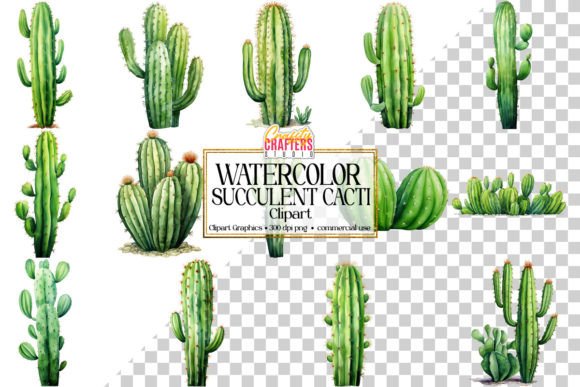 Download Succulent Cacti Watercolor Clipart - Premium Resources
