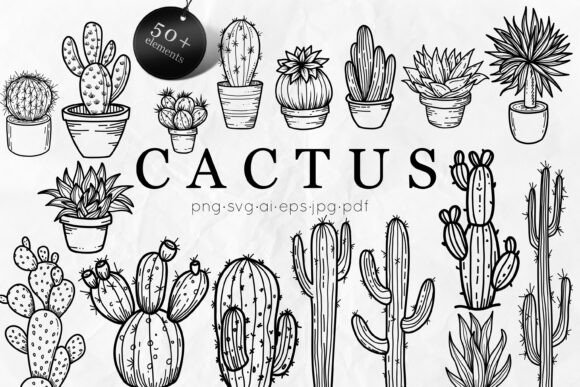 Download Cactus SVG Bundle | Succulent Line Art - Succulent Collection
